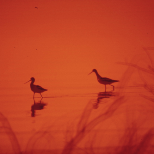 Being a new&nbsp;mom